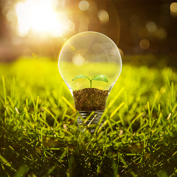 生态保护和环境治理